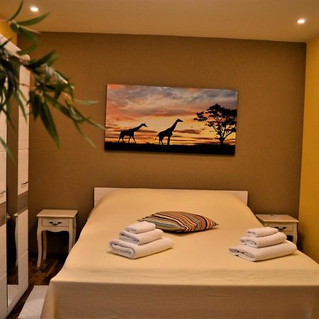 Studio Apartments Luka Biograd - 本科瓦茨 客房 照片