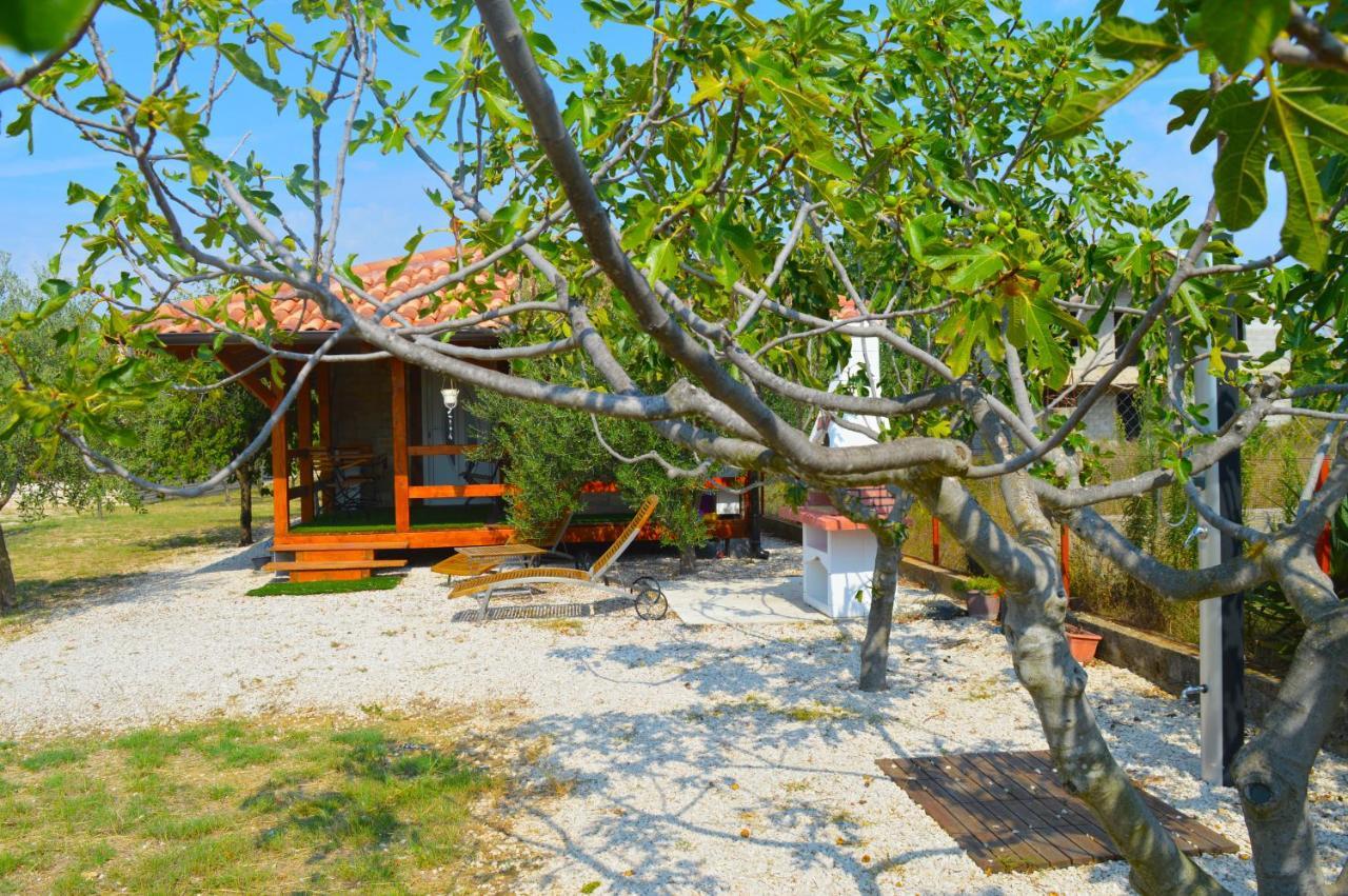 Studio Apartments Luka Biograd - 本科瓦茨 外观 照片