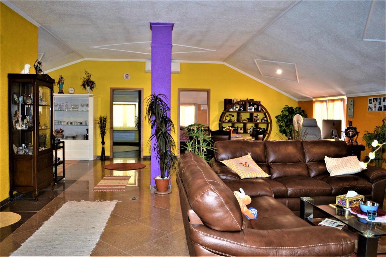 Studio Apartments Luka Biograd - 本科瓦茨 外观 照片
