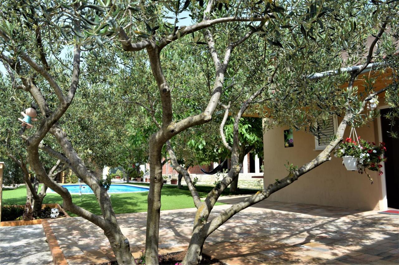 Studio Apartments Luka Biograd - 本科瓦茨 外观 照片